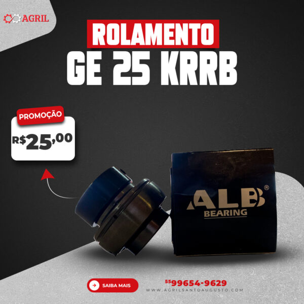 Rolamento Ge 25 Krrb - Alb - Image 2