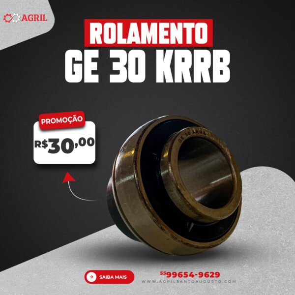 Rolamento Ge 30 Krrb - Alb - Image 2