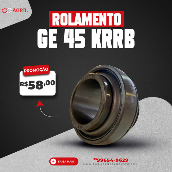 Rolamento Ge 45 Krrb - Alb - Image 2